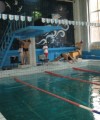 В филиале в Республике Марий Эл определены лучшие пловцы
